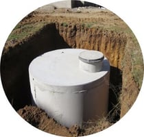 Picture7